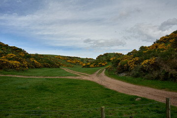 Fototapeta premium Dirt roads intersection in the green hills of Aberdeenshire