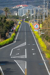 菜の花咲く房総フラワーライン　南房総白浜