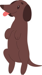 Cute dachshund puppy flat icon Playful pet