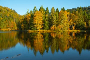 Le lac de Lispach (La Bresse / Vosges) en automne - obrazy, fototapety, plakaty