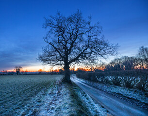 Daybreak in the countryside of Briston, North Norfolk, UK.