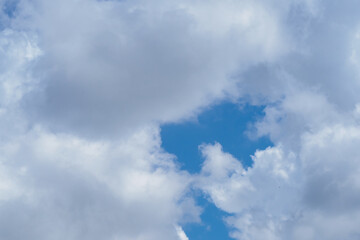 swallows fly in the blue sky against the background of clouds