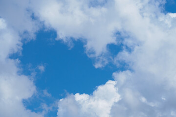 Obraz premium swallows fly in the blue sky against the background of clouds