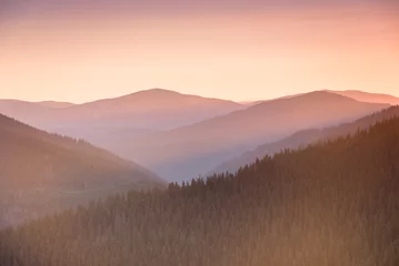 Zelfklevend Fotobehang Wonderful landscape in the mountains at sunrise. Golden Hour morning light. Effect warm natural light. © vovik_mar