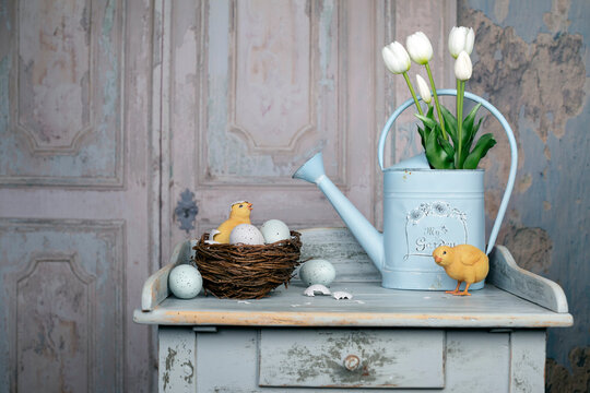 Easter still life with chicks, eggs and white tulips in a watering can on wooden blue table with an old vintage door background