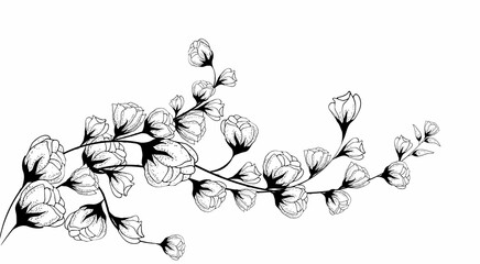 Floral background,
Floral composition, floral background with tender flowers and branches of buds. Hand drawing. For stylized decor, invitations, postcards, posters, cards, backgrounds, as clipart or 