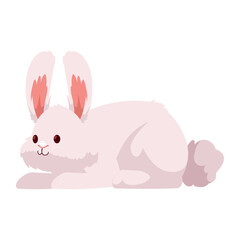 Obraz na płótnie Canvas cute rabbit lying