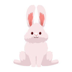 Obraz na płótnie Canvas cute rabbit seated