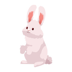 cute rabbit standing