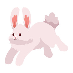 cute rabbit jumping