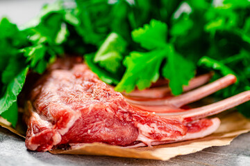 Raw rack of lamb on paper with parsley. 
