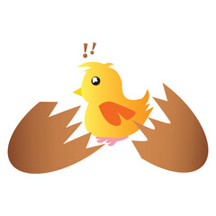 Cute little chicken broken egg illustration vector art.