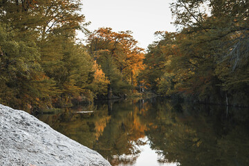 reflection of trees in the lake