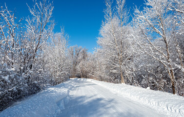 a beautiful landscape of a snow covered road surounded  by trees on a cold winters day