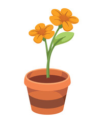yellow spring flowers in pot