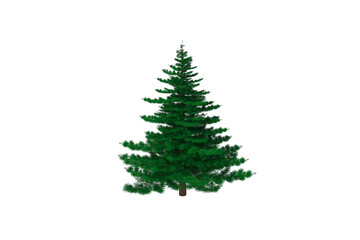 christmas tree isolated on white - 564411716