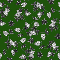 Fototapeta premium Green and black linework flowers seamless pattern