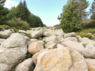 Autumn view of Vitosha Mountain, Bulgaria