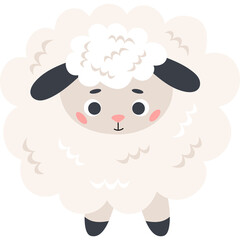 Cute animal. sheep