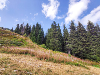 Autumn view of Vitosha Mountain, Bulgaria