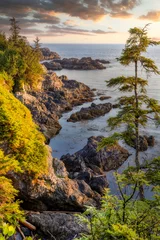 Foto op Plexiglas Rugged west coast landscape on Vancouver Island © Kelly