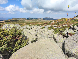 Fototapeta premium Autumn view of Vitosha Mountain, Bulgaria