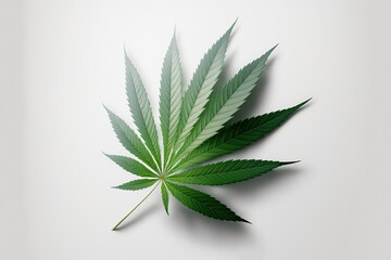 A fresh green cannabis leaf isolated in a studio illustration on white background. IA generated.