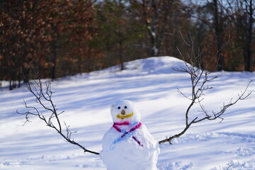 Family made snowman made during the winter time. 