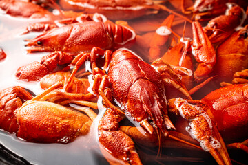 Crayfish are boiled in a pot in water. 