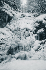 frozen waterfall in winter forest