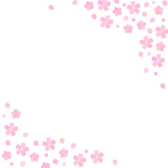 Fototapeta na wymiar 桜の花と花びらのシンプルな白背景の正方形フレーム
