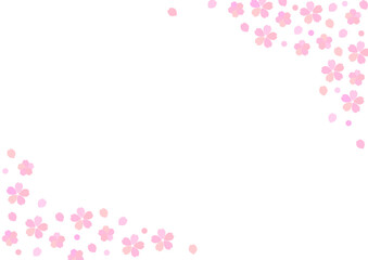 Fototapeta na wymiar 桜の花と花びらのシンプルな白背景の横型フレーム