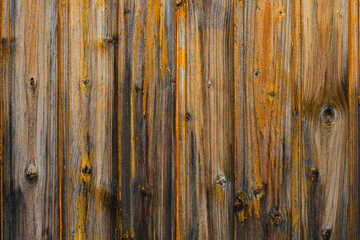 Aged mottled wood texture background surface with an old brown-yellow natural wooden pattern