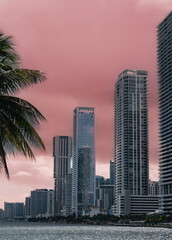 Fototapeta na wymiar city skyline at sunset miami usa florida palm tropical sky 