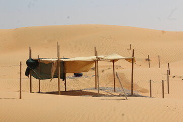 Omani desert