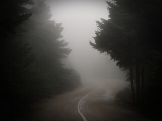 Misty empty road in the foggy forest, Parnitha, Greece