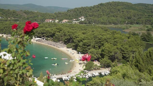 Koukounaries Beach and Aegean Sea viewed from elevated position, Skiathos, Sporades Islands, Greek Islands