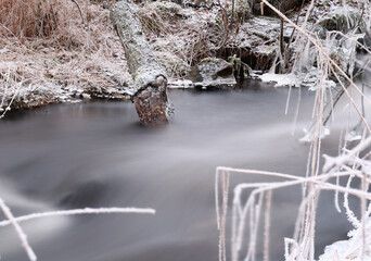 Stream in the forest