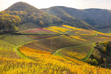 Ahrtal Weinberge