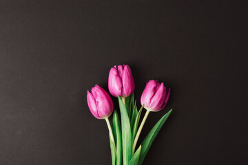 Three tulip flowers on black background. Top view, flat lay