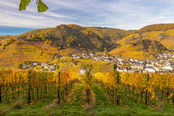 Ahrtal Weinberge