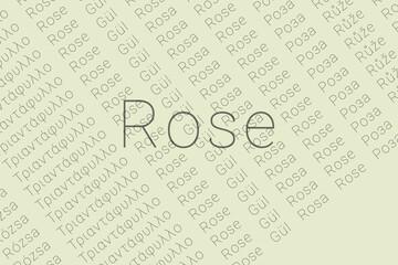 Word Rose in languages of world. Logo Rose on Creamy color