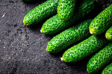Ripe little cucumbers on the table. 