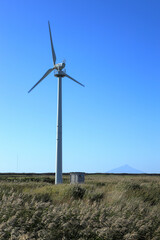 Fototapeta premium 風力発電と利尻島
