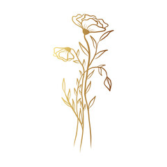 Gold flower line art 
