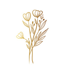 Gold flower line art 