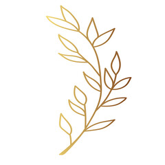 Gold leaf illustration 