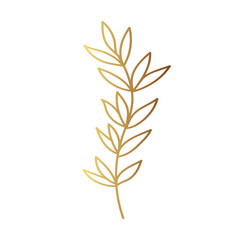 Gold leaf illustration 