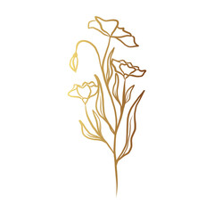 Gold flower line art 