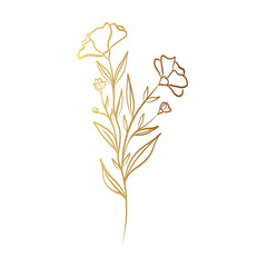 Gold flower line art 